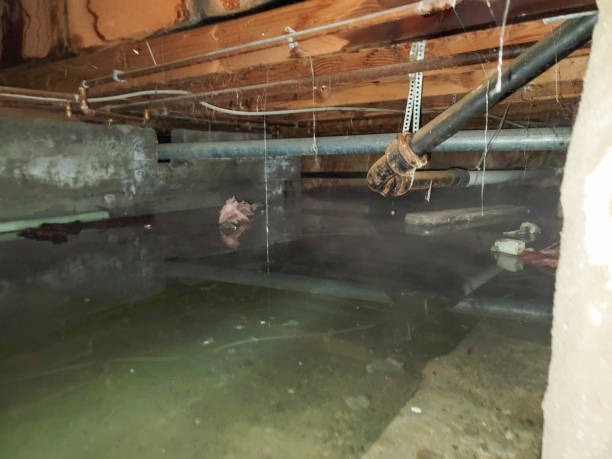 Best Professional water damage repair  in Teaticket, MA