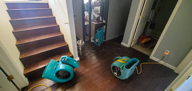 Best Water damage contractors near me  in Teaticket, MA