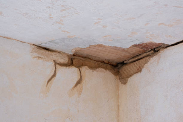 Teaticket, MA Water damage restoration Pros
