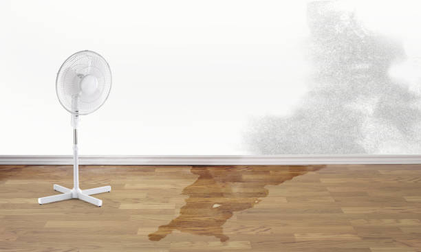 Best Water damage restoration near me  in Teaticket, MA