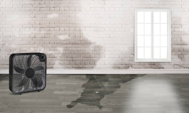 Local water damage restoration in MA