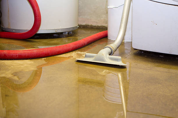  Teaticket, MA Water damage restoration Pros