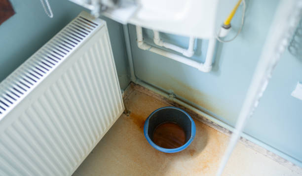 Best Mold removal after water damage  in Teaticket, MA