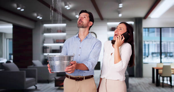 Best Mold removal after water damage  in Teaticket, MA
