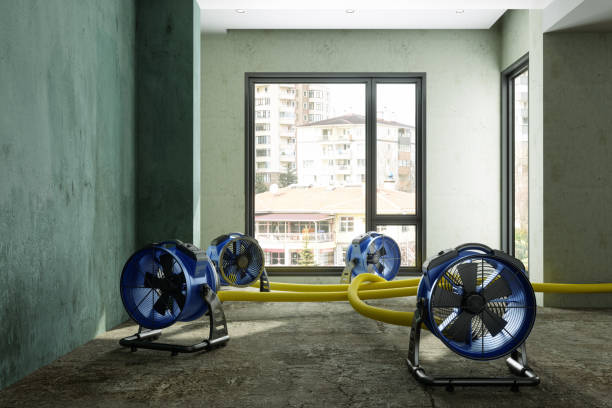 Best Sewage cleanup and water damage restoration  in Teaticket, MA